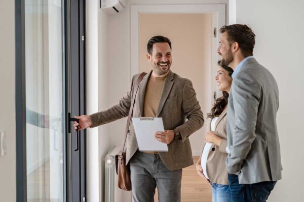 Property Transaction Process Consultation